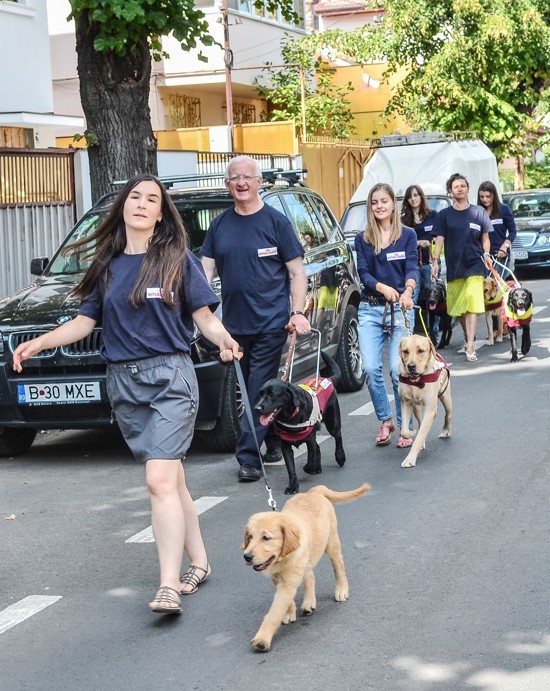 Light Into Europe - Guide Dogs Light Into Europe